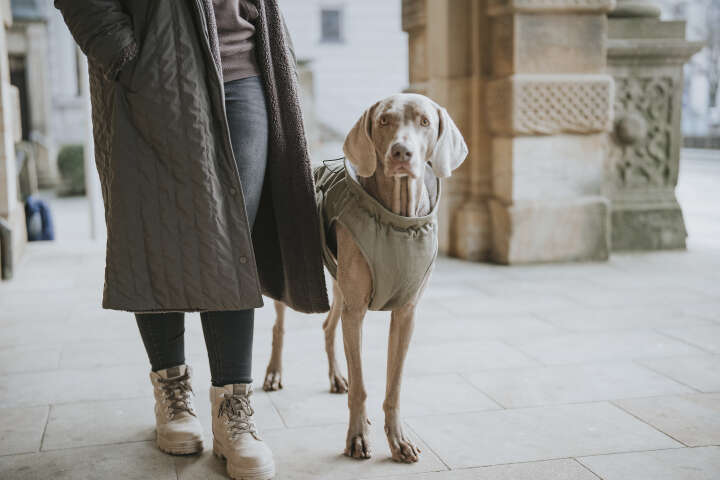 HUNTER Hundemantel Uppsala